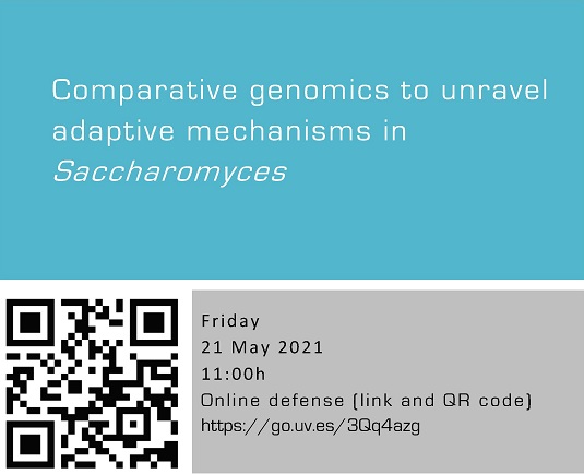 Comparative genomics to unravel adaptive mechanisms in Saccharomyces